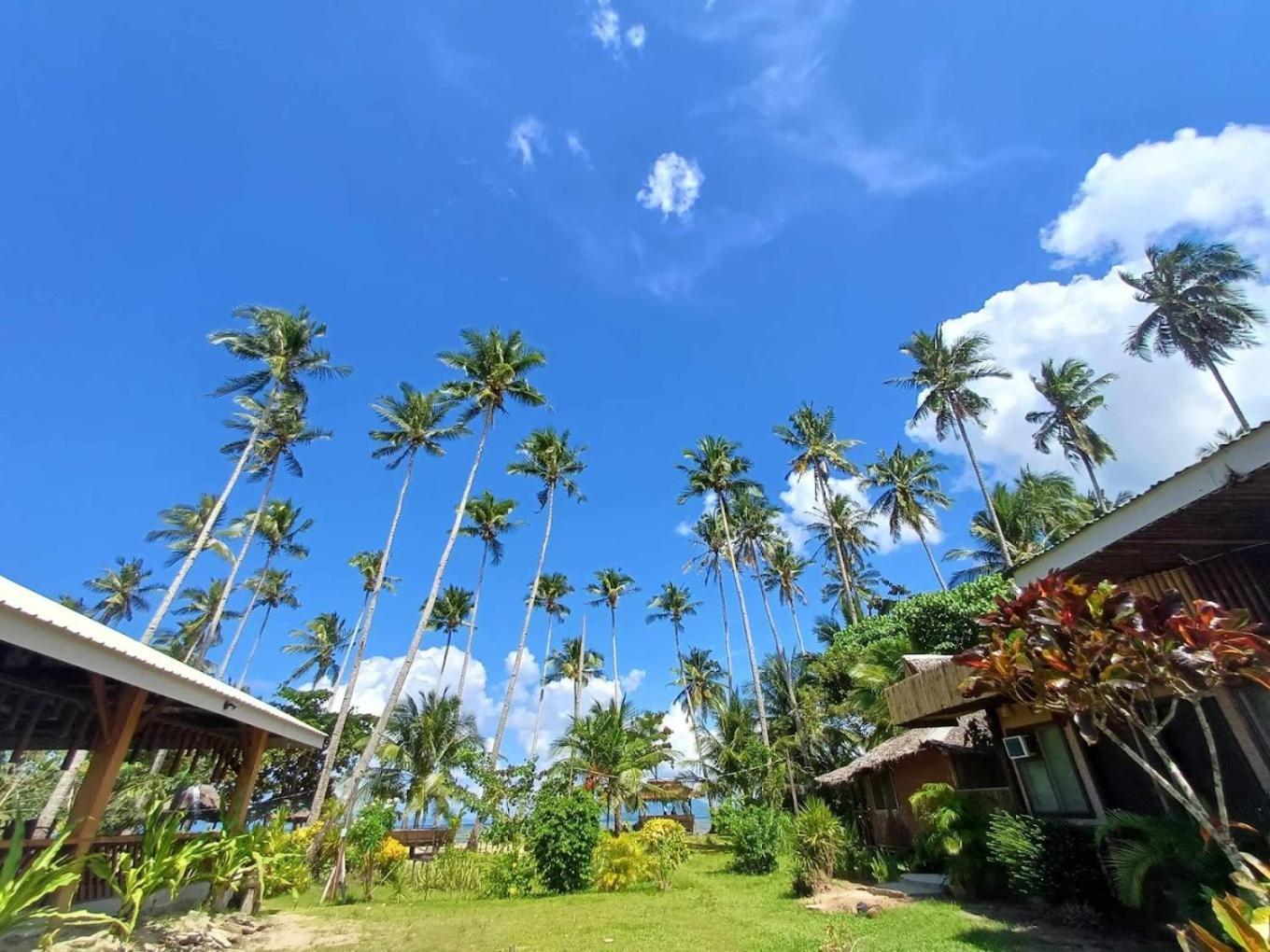 Amihan Beach Hostel San Vicente  Luaran gambar