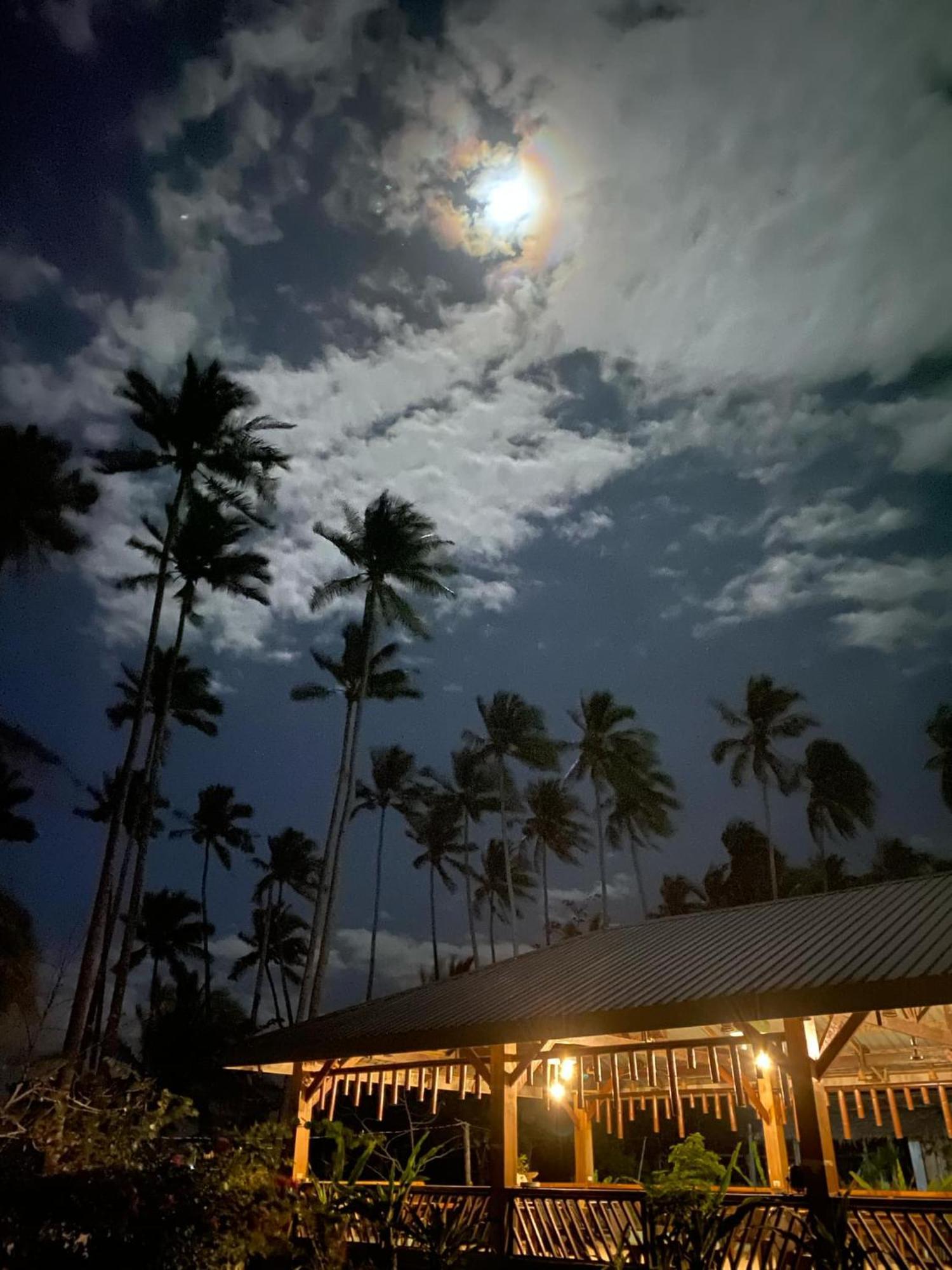 Amihan Beach Hostel San Vicente  Luaran gambar