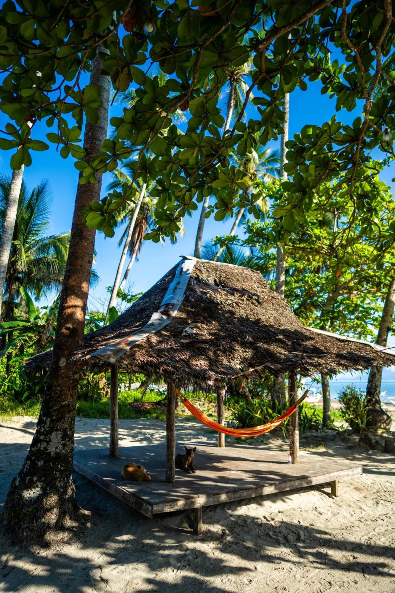 Amihan Beach Hostel San Vicente  Luaran gambar