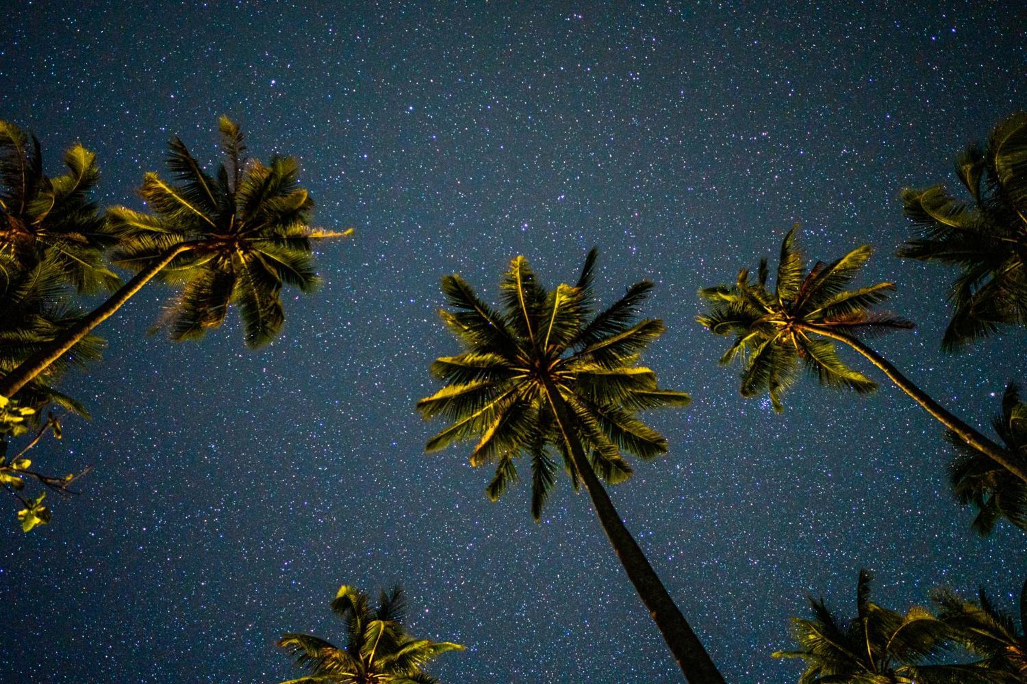 Amihan Beach Hostel San Vicente  Luaran gambar